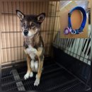 병암동행정복지센터 이미지