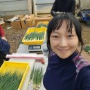 대목농장 이미지