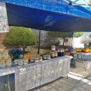 이숙자농장 이미지