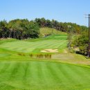 영동 일라이트CC 이미지