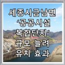 가람동_세종이마트앞 이미지