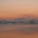 나무사이로 이미지