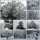 눈꽃이피다 이미지