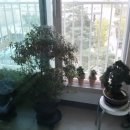 현대힐스테이트부동산공인중개사사무소 이미지