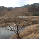 강천보건지소 이미지