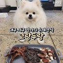 고랑두랑 네이버블로그