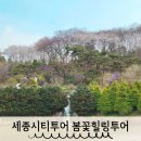 봄꽃힐링투어 | 세종시티투어 특별코스 봄꽃힐링투어 아기랑 이용한 후기