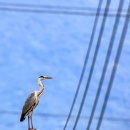 진정마을회관 이미지