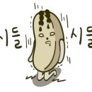 she's 뷰티