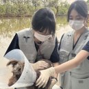 손수의과병원 | [전남대 수의대 해외봉사단 NEO 3기 후기] 작은 생명들이 내게 남긴 것 – 최인아
