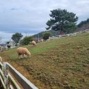 종생농장 이미지