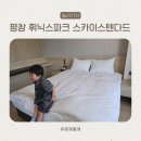 스텐다드 | 평창 휘닉스 파크 블루동 스카이스텐다드 객실 후기