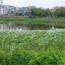 이문안호수공원 이미지