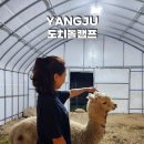 양주 캠핑 도치돌캠프 내돈내산 솔직후기