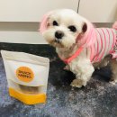 스낵몽 | 애견 수제간식 전문점 스낵몽 : 수제개껌 단호박우유껌 급여후기