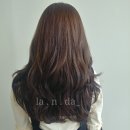 영란미용실 - 해남군 만월길 26-4 | 영란미용실