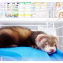 구서동물병원 이미지