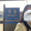 시외버스 산성정류소 | 동탄에서 공주 기차 여행 뚜벅이 당일치기 코스 추천