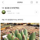 오늘은 좀 꿀꿀~~ About 은세계 이미지