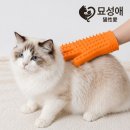 그루밍 - 전주시 덕진구 가재미로 26 | 그루밍