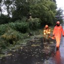 달서천로 이미지