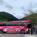 김해시티투어 이미지