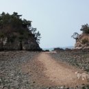 석양이 아름다운 형제섬 농원 이미지