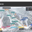 강촌엘리시안스키장에서 스키타기 | 슈퍼맨렌탈샵 | 우미숯불닭갈비