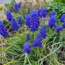 제상 농장 이미지