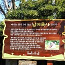 &#39;24년 04월 16일 전남 강진 남미륵사일대트레킹, 봄꽃향연 세계불교미륵대종 이미지