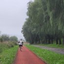 플라워 헬스&필라테스 청주대점 이미지