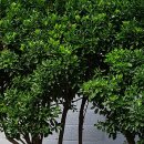 사철슈퍼 이미지