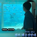 천부해중전망대 | 울릉도 천부 해중전망대에서 물고기 보고 왔어요 | 삼선암 구경도 놓치지 마세요
