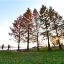 다산생태공원[능내-1] 이미지