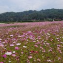 (주)코스모스