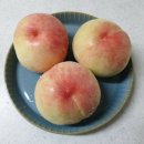 철호농장 이미지