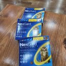 호박약국 이미지