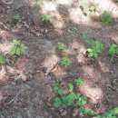 풀꽃농장 이미지