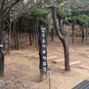 두솔아이 이미지