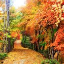 밸리댄스 야간 이미지