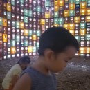 연현태권도 이미지