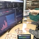 광이농장 이미지