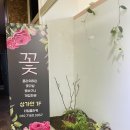 핌플라워 이미지