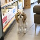 유앤동물의료센터 이미지