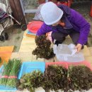 삼양동 선사유적지 | 제주 삼양동 주말(토) 직거래 장터/ 장소, 시간, 주차, 주변 맛집, 가볼 만한 곳