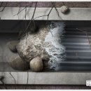 컨벤시아대로130번길 이미지