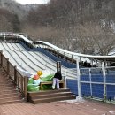 좌구산 썰매장 이미지