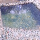 횡성송어횟집 이미지