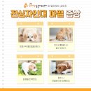 닥터 전 동물병원 이미지