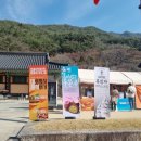 화엄사 주차장 | 구례 화엄사 홍매화(2026.03.23) 실시간 개화, 주차장. 솔직후기